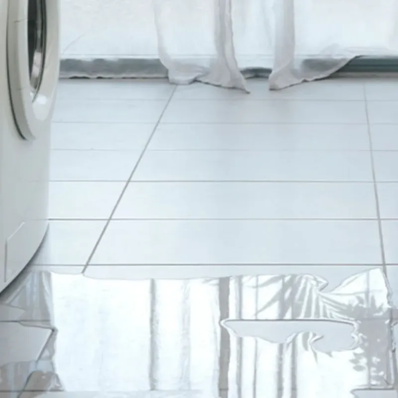 Appliance Leak Cleanup in Bradley County, AR