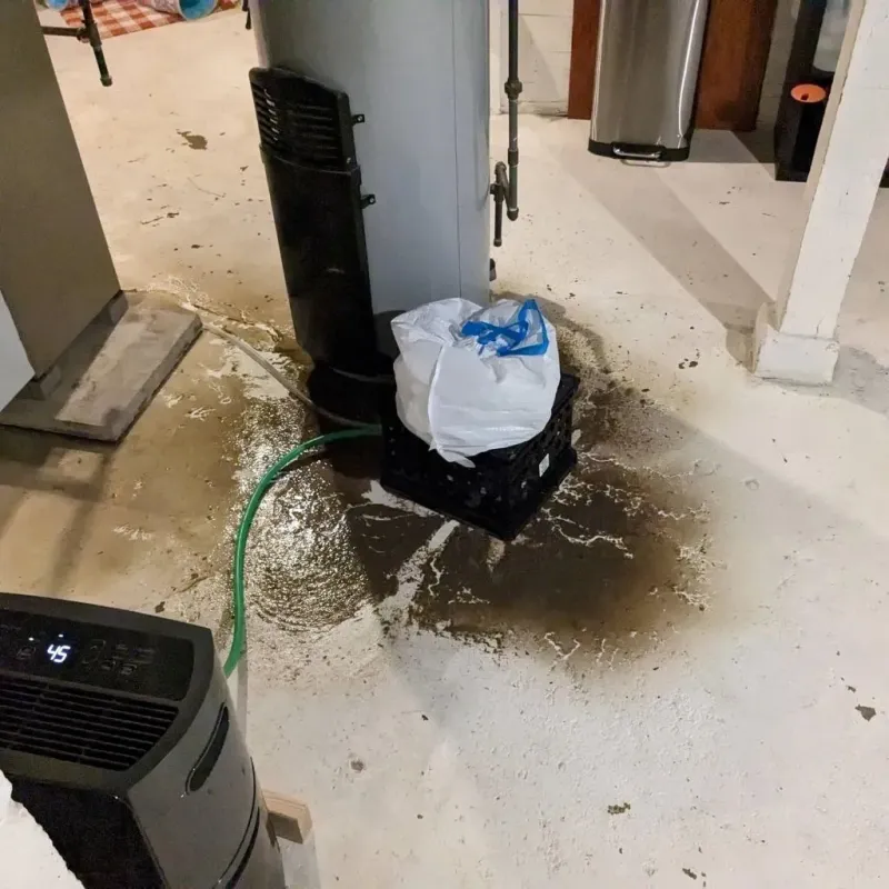 Sewage Backup Cleanup Service in Bradley County, AR